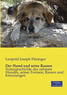 Hund und seine Rassen 1