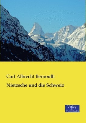 bokomslag Nietzsche und die Schweiz