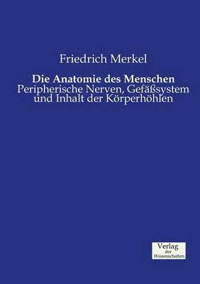 Die Anatomie des Menschen 1