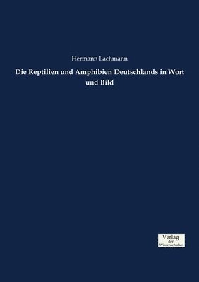 Die Reptilien und Amphibien Deutschlands in Wort und Bild 1