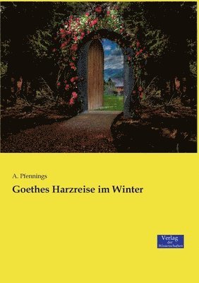 bokomslag Goethes Harzreise im Winter