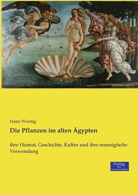 bokomslag Die Pflanzen im alten gypten