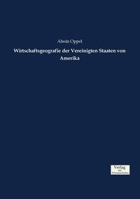 bokomslag Wirtschaftsgeografie der Vereinigten Staaten von Amerika