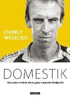 Domestik 1