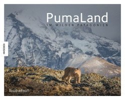 PumaLand 1