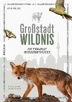 bokomslag Großstadt Wildnis