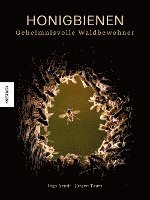 bokomslag Honigbienen - geheimnisvolle Waldbewohner