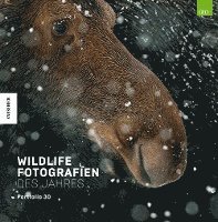 bokomslag Wildlife Fotografien des Jahres - Portfolio 30