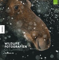 bokomslag Wildlife Fotografien des Jahres - Portfolio 30