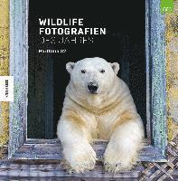 bokomslag Wildlife Fotografien des Jahres - Portfolio 32