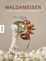 Ingo Arndt, Jürgen Tautz - Waldameisen, Inbunden