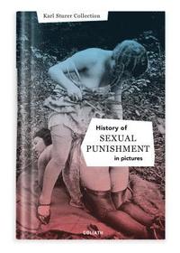 bokomslag History of S:e:x:u:a:l Punishment in Pictures