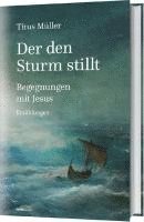 Der den Sturm stillt 1