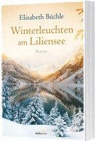 bokomslag Winterleuchten am Liliensee