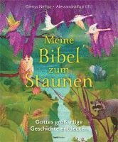 bokomslag Meine Bibel zum Staunen