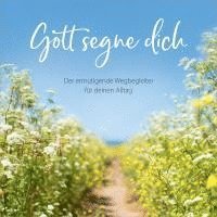 bokomslag Gott segne dich