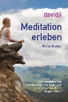 bokomslag Meditation erleben