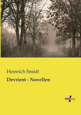 bokomslag Devrient - Novellen