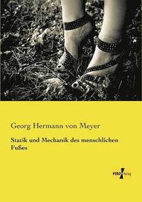 bokomslag Statik und Mechanik des menschlichen Fußes
