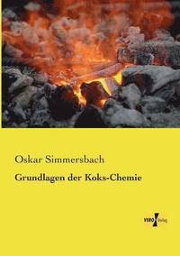 bokomslag Grundlagen der Koks-Chemie