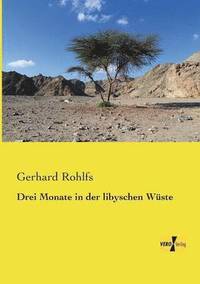 bokomslag Drei Monate in der libyschen Wüste