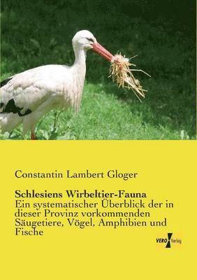 bokomslag Schlesiens Wirbeltier-Fauna