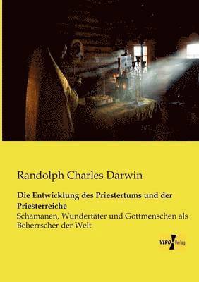 bokomslag Entwicklung des Priestertums und der Priesterreiche