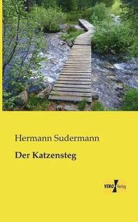bokomslag Katzensteg
