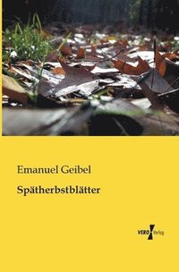 bokomslag Spätherbstblätter