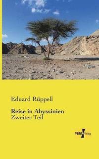 bokomslag Reise in Abyssinien