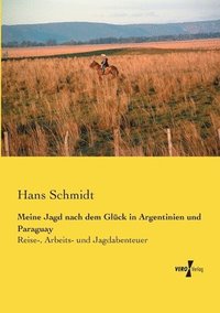 bokomslag Meine Jagd nach dem Glück in Argentinien und Paraguay