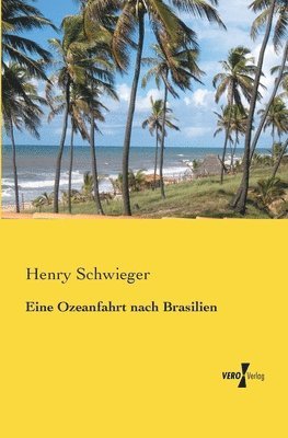 Eine Ozeanfahrt nach Brasilien 1