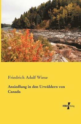 bokomslag Ansiedlung in den Urwäldern von Canada