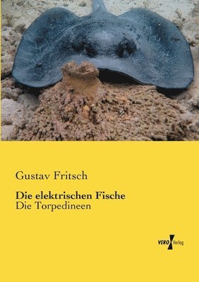 elektrischen Fische