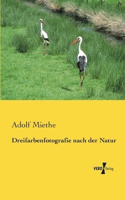 bokomslag Dreifarbenfotografie nach der Natur