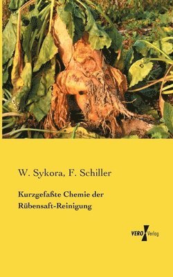 bokomslag Kurzgefate Chemie der Rbensaft-Reinigung