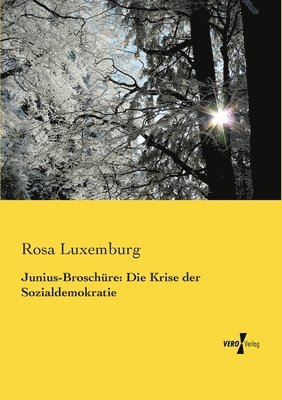 bokomslag Junius-Broschüre