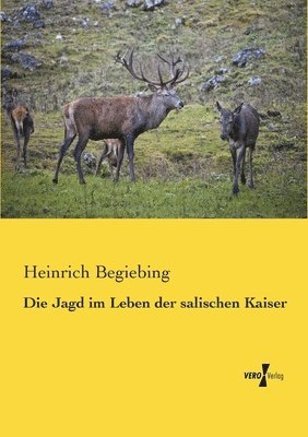bokomslag Jagd im Leben der salischen Kaiser