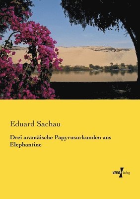 bokomslag Drei aramische Papyrusurkunden aus Elephantine