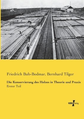 Friedrich Bub-Bodmar, Bernhard Tilger - Konservierung des Holzes in Theorie und Praxis, Häftad. Tillgänglighet: Lägg i varukorg