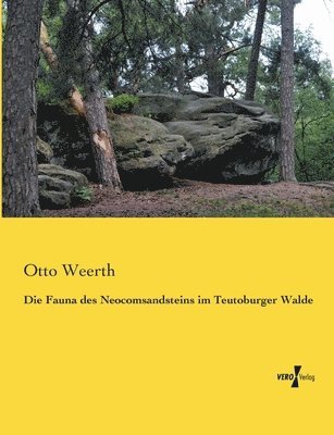 bokomslag Fauna des Neocomsandsteins im Teutoburger Walde