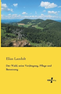 bokomslag Der Wald, seine Verjngung, Pflege und Benutzung