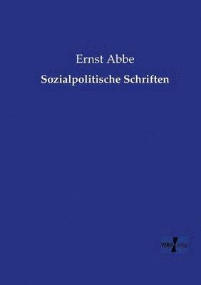 bokomslag Sozialpolitische Schriften