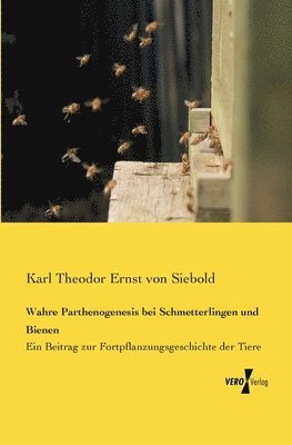 Wahre Parthenogenesis bei Schmetterlingen und Bienen 1