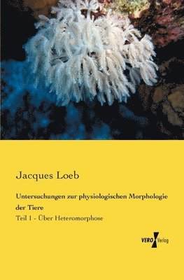 Untersuchungen zur physiologischen Morphologie der Tiere 1