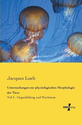 bokomslag Untersuchungen zur physiologischen Morphologie der Tiere