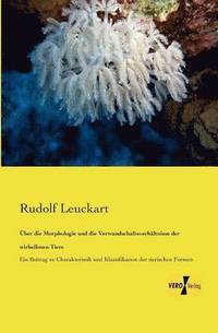 bokomslag ber die Morphologie und die Verwandschaftsverhltnisse der wirbellosen Tiere