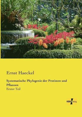 bokomslag Systematische Phylogenie der Protisten und Pflanzen