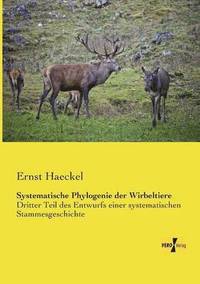 bokomslag Systematische Phylogenie der Wirbeltiere