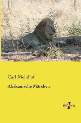 bokomslag Afrikanische Märchen